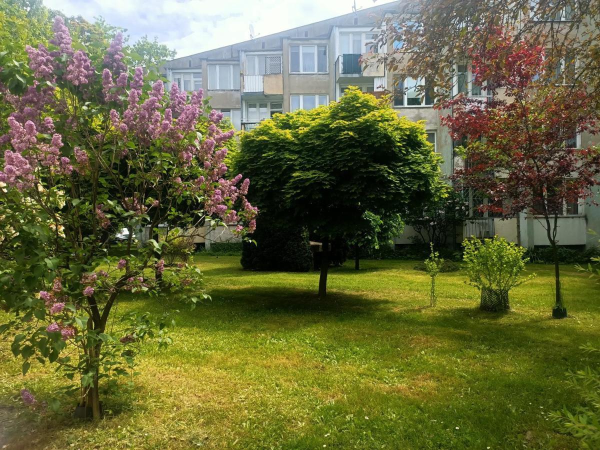 Przytulny Dwuosobowy Apartament Jaworowa ヴロツワフ エクステリア 写真